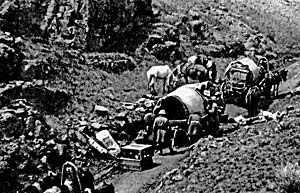 Экспедиция Н.К.Рериха на Алтае. 1925–1928 годы.